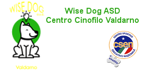 Wise Dog ASD Centro Cinofilo Valdarno